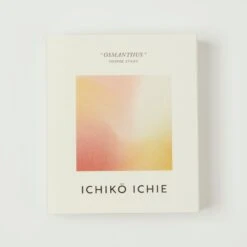 Ichikō Ichie Incense Sticks - Osmanthus